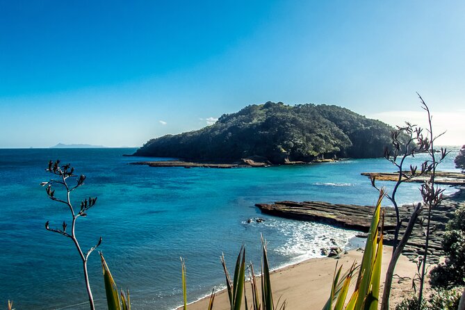 Guided Snorkel Experience, Advanced - The extra equipment time changes the value