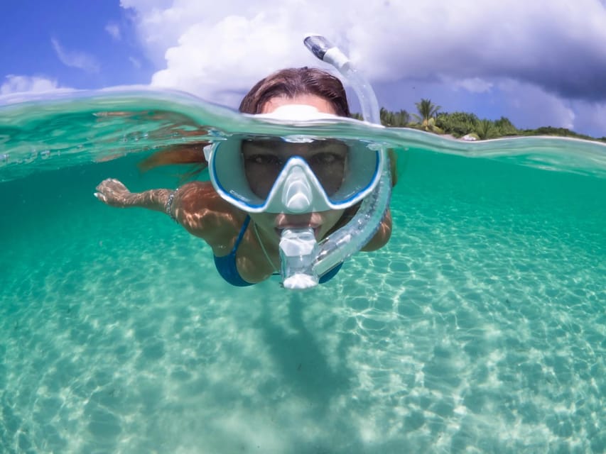 Guided Snorkel in Barcelona Beach - What snorkeling at Platja de Llevant is really like