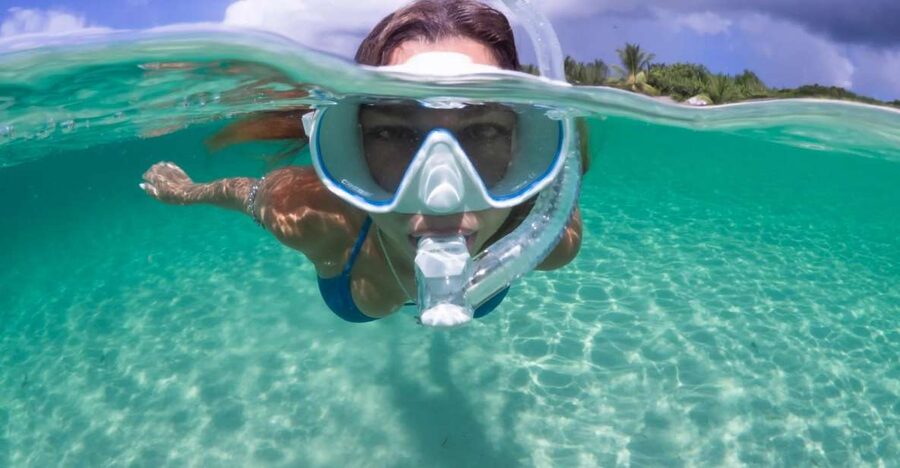 Guided Snorkel in Barcelona Beach - A one-hour plan that keeps things simple