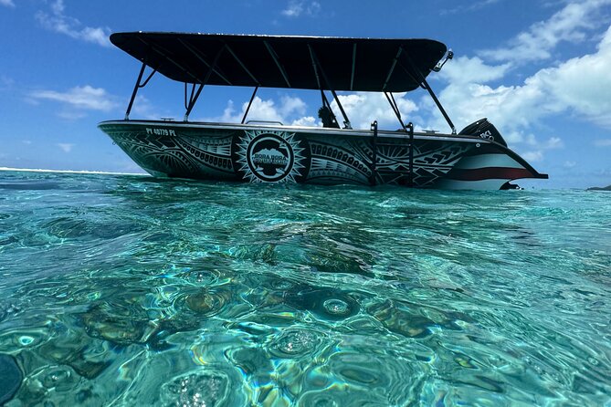 Half day Eco Snorkeling small group Tour in Bora Bora - What this Bora Bora lagoon tour is really like