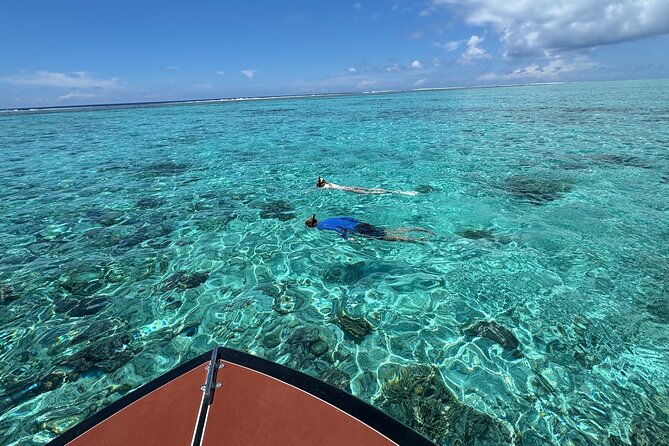 Half day Eco Snorkeling small group Tour in Bora Bora - What is included for $139.68