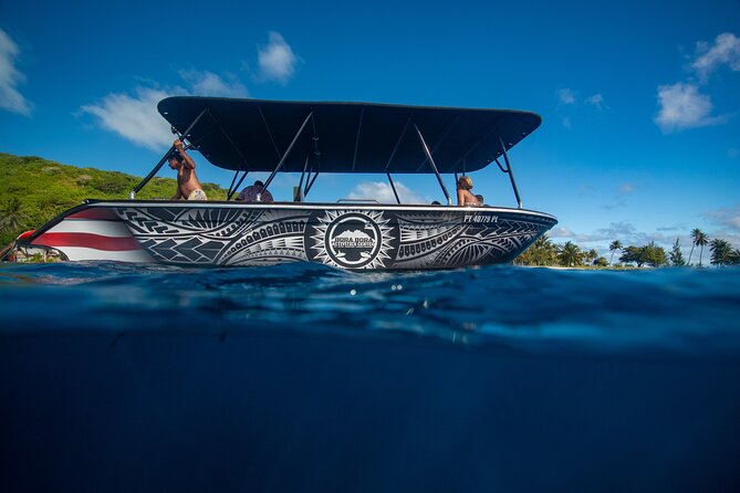 Half day Eco Snorkeling small group Tour in Bora Bora - Safety instructions and getting comfortable in the water