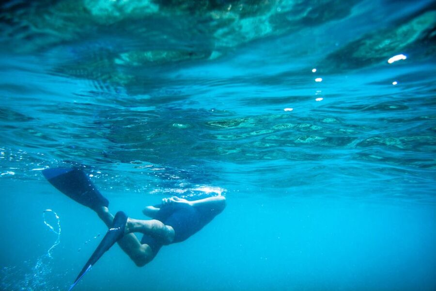 Half Day Guided Snorkel Tour in Los Cabos - Should you book it?