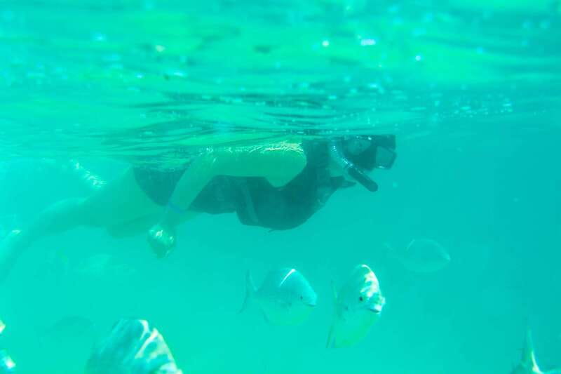 Half Day Guided Snorkel Tour in Los Cabos - Two bays, one short morning