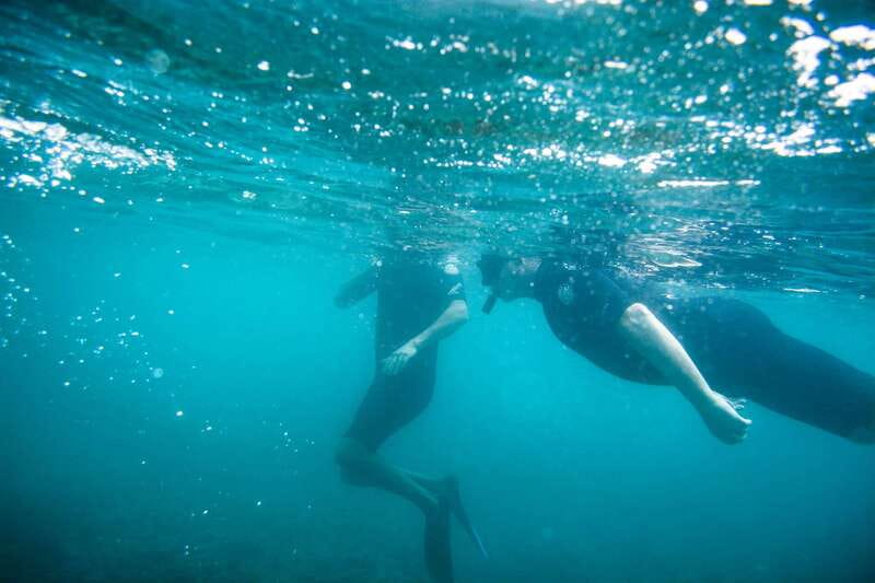 Half Day Guided Snorkel Tour in Los Cabos - Who should choose this snorkeling tour?
