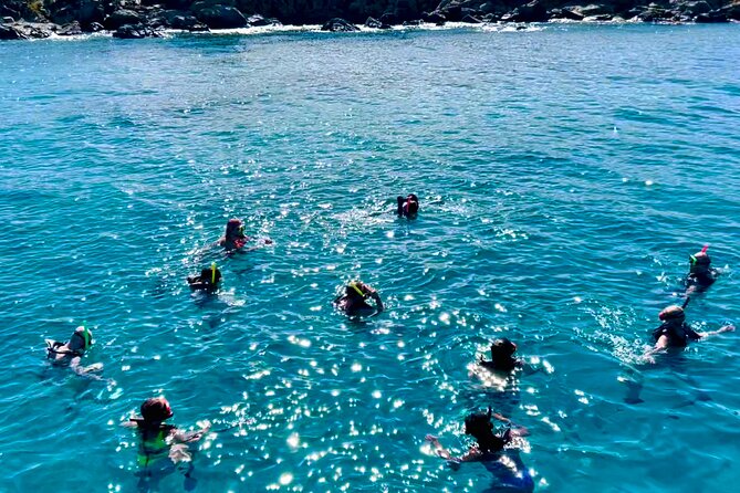 Half Day Luxury Catamaran Turtle Snorkel And Beach - First water stop: reefs, fish, stingrays, and a shipwreck
