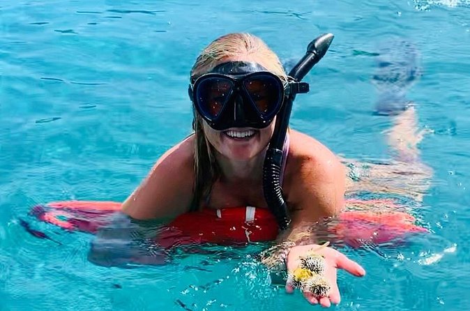 Half Day Luxury Catamaran Turtle Snorkel And Beach - Who should book this catamaran trip?