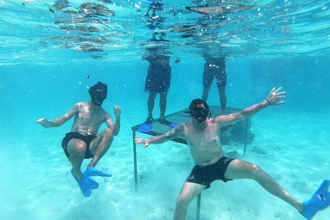 Half-Day Muri Lagoon BBQ Lunch Cruise including Snorkeling - Key points to know before you go