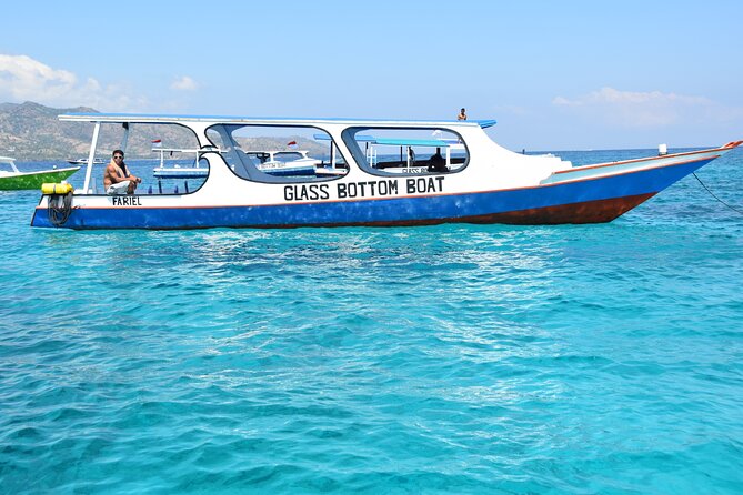 Half-Day Private Guided Snorkeling Turtles Underwater Statues - What the guide adds to the experience