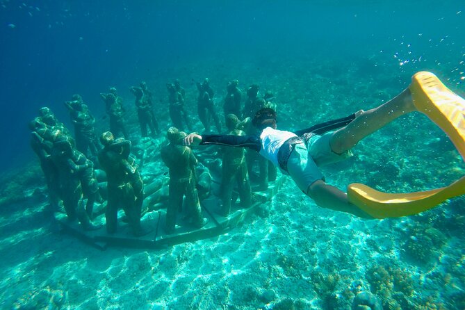 Half-Day Private Guided Snorkeling Turtles Underwater Statues - Is $85 a good price for a private group?