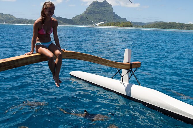 Half Day Private Lagoon Snorkeling Experience - The Shallow-Water Stingray Stop