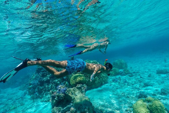 Half Day Private Lagoon Snorkeling Experience - Exploring the Aquarium Snorkeling Site