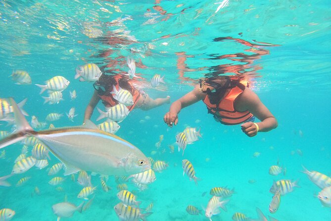 Half-Day Private Party Boat and Snorkeling in Punta Cana - How to judge the $698 price