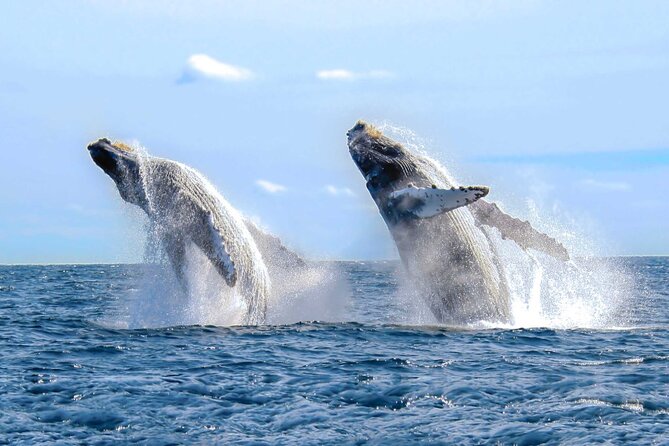 Half Day Private Sailing Cruise Puerto Vallarta with Snorkeling - Small details that improve the day