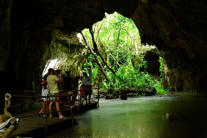 Half-Day Sea Turtle and Cenote Snorkeling Tour from Cancun & Riviera Maya - Two very different waters in one morning