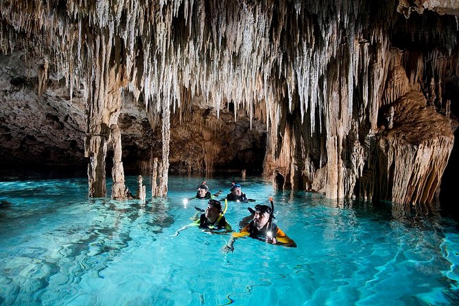 Half-Day Sea Turtle and Cenote Snorkeling Tour from Cancun & Riviera Maya - Guides, photographers, and the group experience