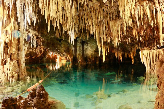 Half-Day Sea Turtle and Cenote Snorkeling Tour from Cancun & Riviera Maya - Pickup, clothing, and practical preparation
