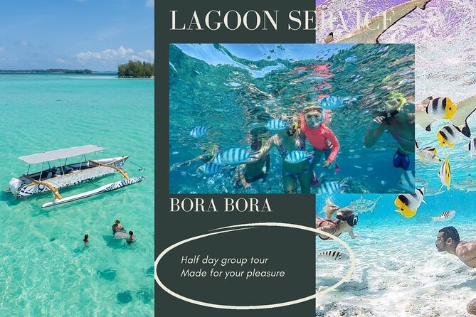 Half-Day Small-Group Cruise in Bora Bora with Snorkelling - Local guides make the difference