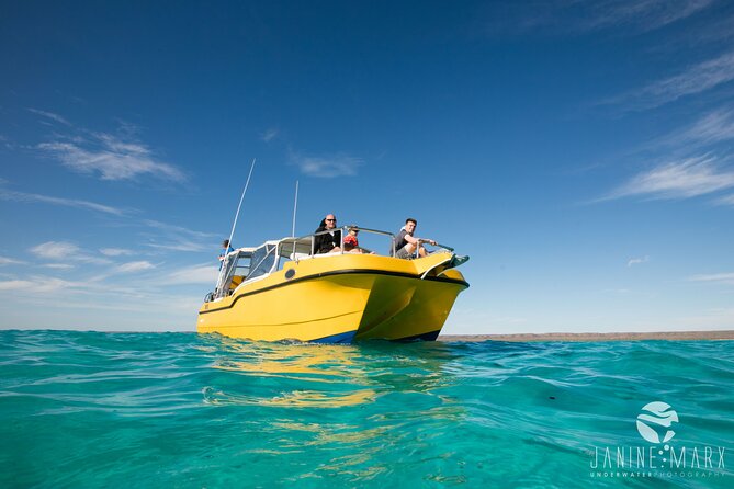 Half Day Snorkel 2.5hr Turtle Tour on the Ningaloo Reef, Exmouth - The first reef stop