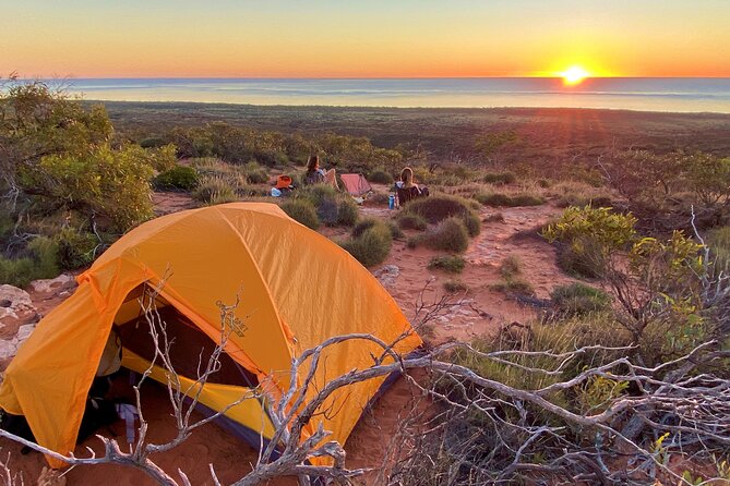 Half Day Snorkel 2.5hr Turtle Tour on the Ningaloo Reef, Exmouth - The second site and the value of variety