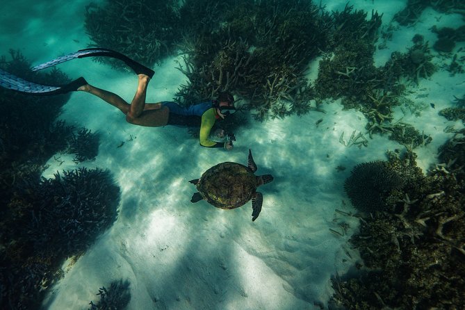 Half Day Snorkel 2.5hr Turtle Tour on the Ningaloo Reef, Exmouth - From Exmouth to the reef