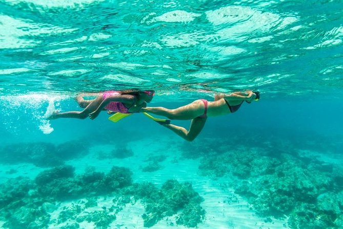 Half-Day Snorkel Sail Tour with Caribbean Lunch - Catalina Bay gives beginners an easy first swim