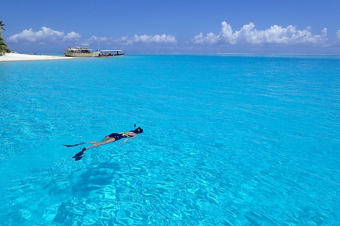 Half day Snorkeling Shared Boat Tour in Bora Bora - Stop three: the Bora Bora coral garden
