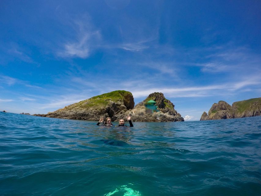 Half-Day Snorkeling trip in Nha Trang with Vietnam Active - Who will enjoy this trip most?