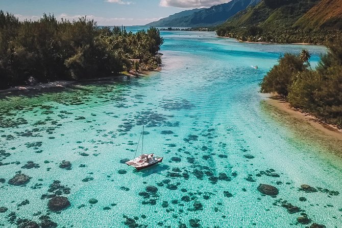 Half Day Tour : Moorea Snorkeling & Sailing on a Catamaran named Taboo - First water stop: sharks and stingrays