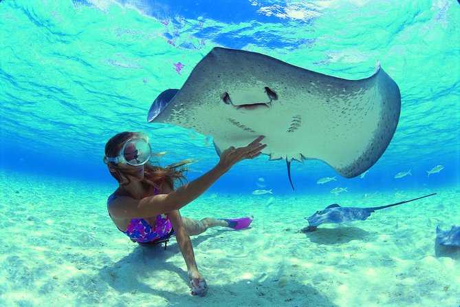 Half Day Tour : Moorea Snorkeling & Sailing on a Catamaran named Taboo - Weather, comfort, and practical limits