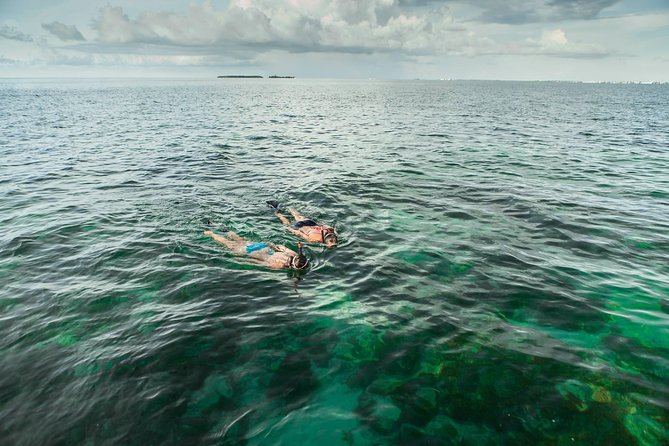 Half-Day Trip from Key West with Kayaking, Snorkeling & Sunset - What you eat and drink on board