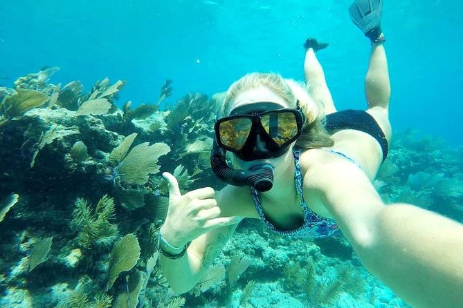 Half-Day Trip from Key West with Kayaking, Snorkeling & Sunset - Morning or afternoon: which departure works best?