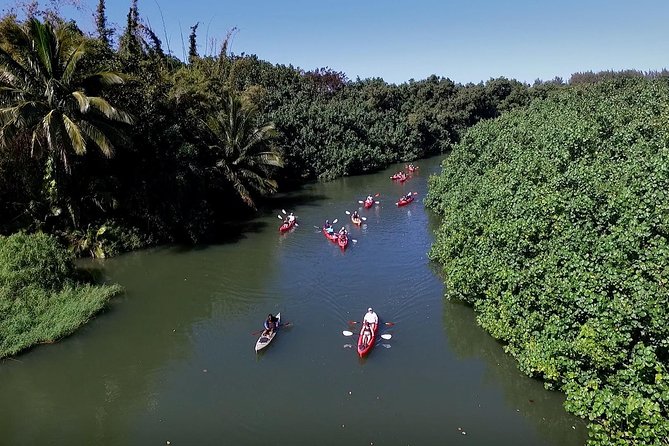 Hanalei Bay Morning Kayak and Snorkel Tour - How family-friendly is it?