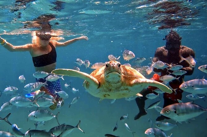 Harbour Lights-Chair &Turtle Shipwreck Snorkel Tour(10:30-1:30pm) - A beach chair, a boat, and Carlisle Bay