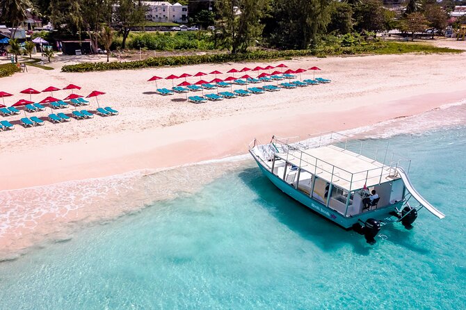 Harbour Lights-Chair &Turtle Shipwreck Snorkel Tour(10:30-1:30pm) - Shipwrecks close to the surface