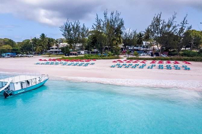 Harbour Lights-Chair &Turtle Shipwreck Snorkel Tour(10:30-1:30pm) - Looking for turtles in Carlisle Bay