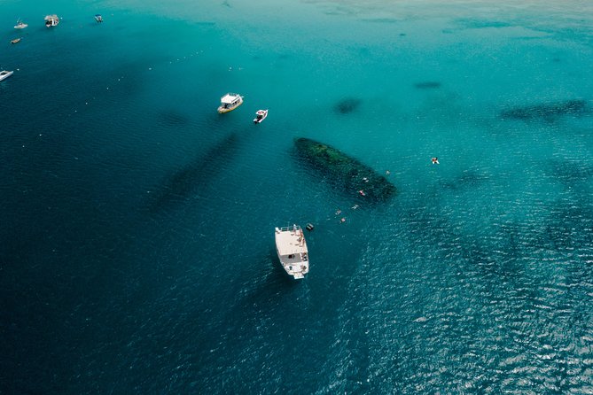 Harbour Lights-Chair &Turtle Shipwreck Snorkel Tour(10:30-1:30pm) - Who will enjoy this outing most