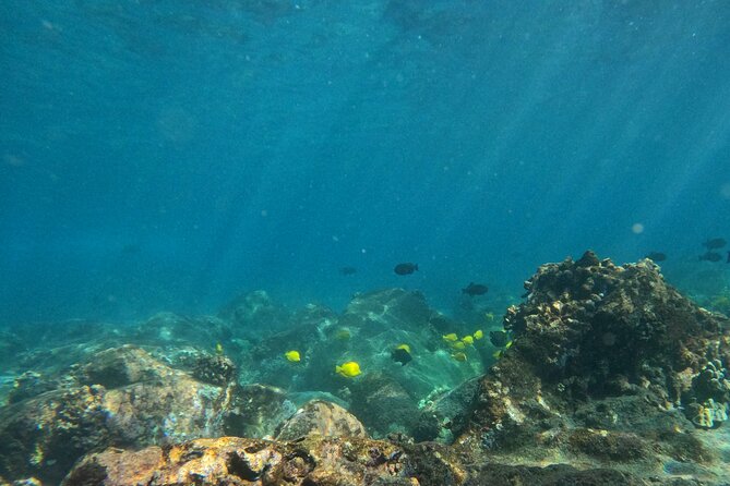 Hawaiian Sail and Snorkel in Kailua-Kona, Hawaii - Why the canoe makes this Kona trip different