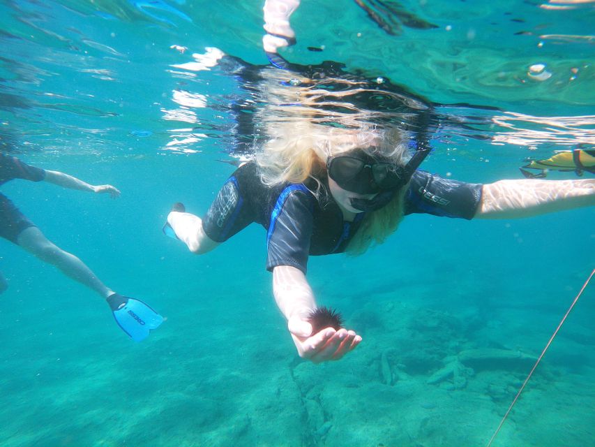 Heraklion: Beginner-Friendly Snorkeling Trip - Practical booking advice before you go