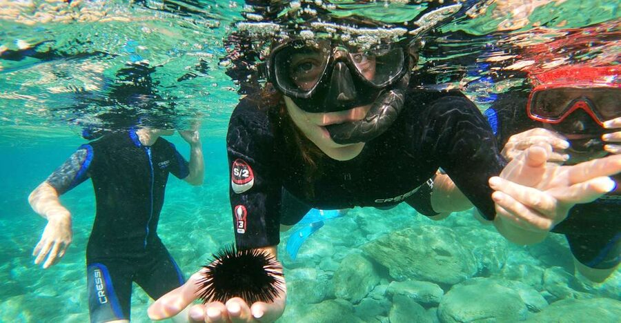 Heraklion: Beginner-Friendly Snorkeling Trip - Starting at the AQUADIVE base