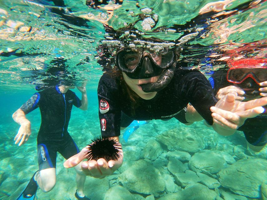 Heraklion: Beginner-Friendly Snorkeling Trip - Who should book this Agia Pelagia activity?