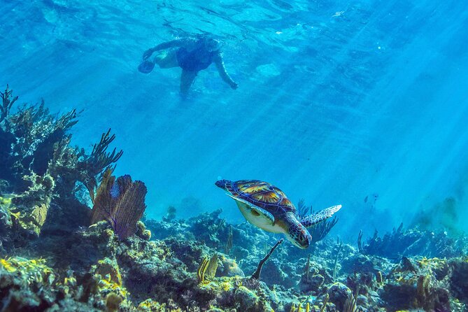 Hidden Cenote Swim: Snorkeling, Sea Turtles and Beachside Lunch - Guides shape the quality of the day