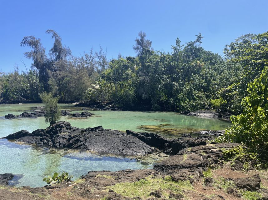 Hilo: Sea Turtle Lagoon and Black Sand Beach Snorkel - Who Should Book This Hilo Snorkel?