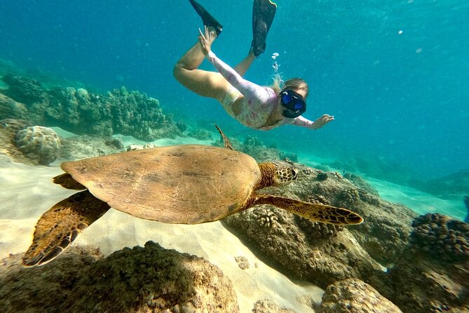Hilo Sea Turtle Snorkel Adventure - Key points at a glance