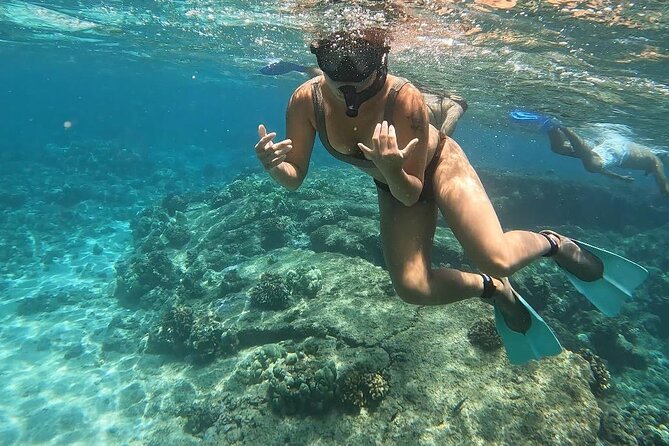 Hilo Sea Turtle Snorkel Adventure - At Leleiwi Beach Park, the shoreline is the attraction