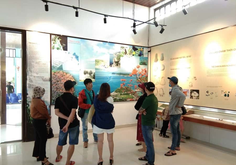 Hoi An: Cham Islands Snorkeling Trip by Speedboat with Lunch - Should you book the Cham Islands speedboat tour?