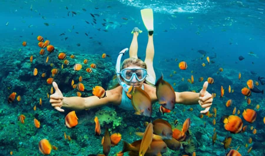 Hoi An: Cham Islands Snorkeling Trip by Speedboat with Lunch - Why this Cham Islands day works so well