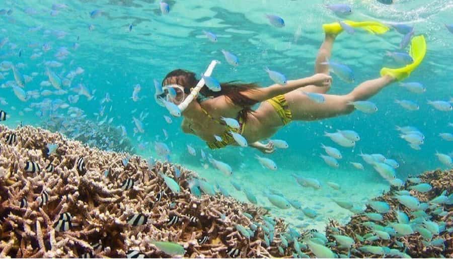 Hoi An: Cham Islands Snorkeling Trip by Speedboat with Lunch - Seeing Cham Island beyond the beach