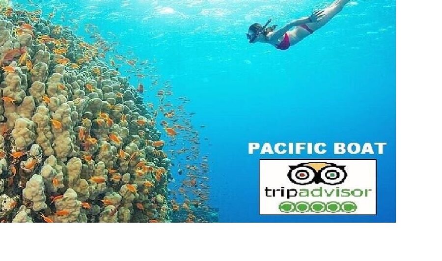 Hoi An/Da Nang: Snorkelling & Island-Hopping Speedboat Tour - Why this Cham Island trip is different