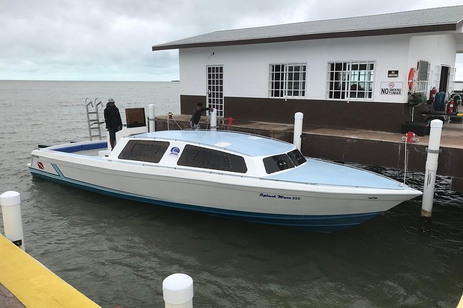 Hol Chan Marine Park and Shark Ray Alley Snorkeling - Caye Caulker: lunch, changing, and island time